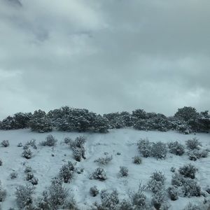 Meet your Posher, Angelina